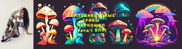 таблы Богородицк