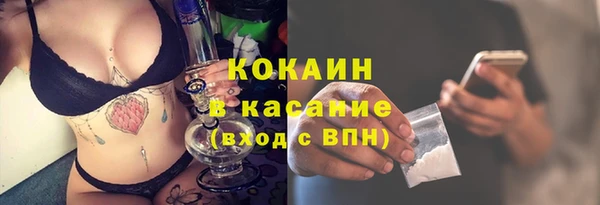 ПСИЛОЦИБИНОВЫЕ ГРИБЫ Белокуриха