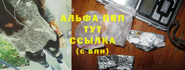 сатива Белоозёрский