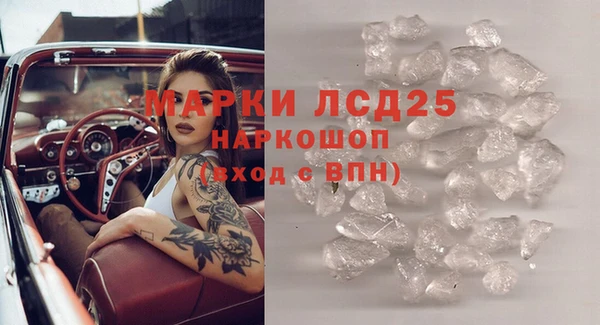 ПСИЛОЦИБИНОВЫЕ ГРИБЫ Белокуриха