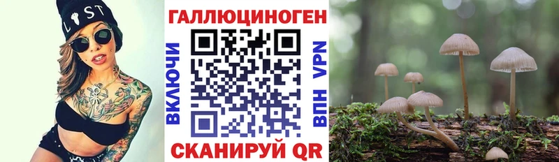 даркнет клад Пестово Галлюциногенные грибы Magic Shrooms hydra вход
